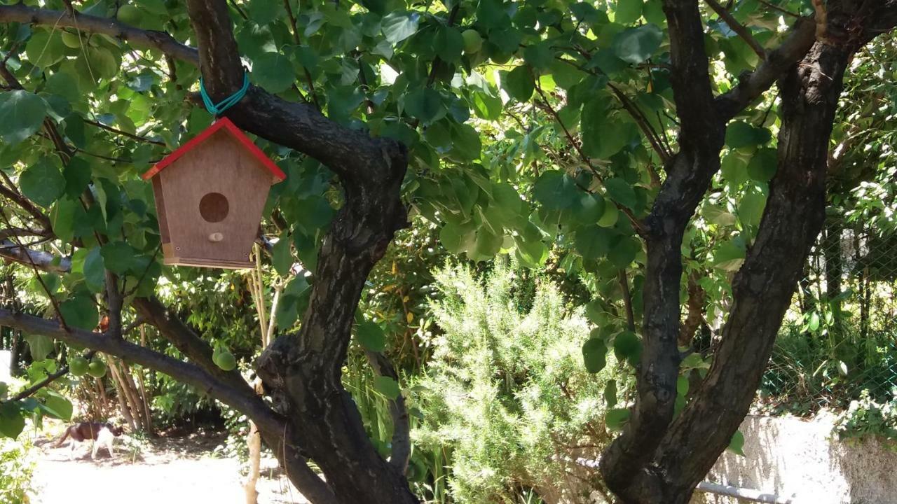 Affittacamere Tory Sirolo Dış mekan fotoğraf
